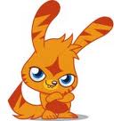 Image 3 - coolster